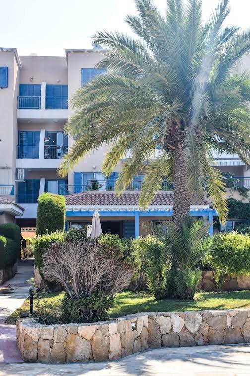 Timeless Cyprus Paphos Exterior foto