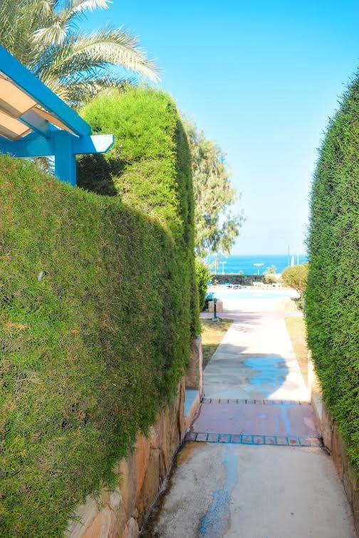 Timeless Cyprus Paphos Exterior foto